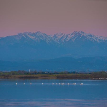 "Chill" Magnifique Vue Sur La Mer Et Le Port Au Coeur De La Ville En Premiere Ligne Canet-en-Roussillon Dış mekan fotoğraf