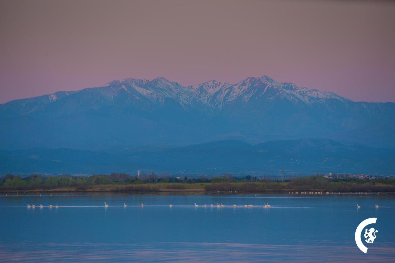 "Chill" Magnifique Vue Sur La Mer Et Le Port Au Coeur De La Ville En Premiere Ligne Canet-en-Roussillon Dış mekan fotoğraf