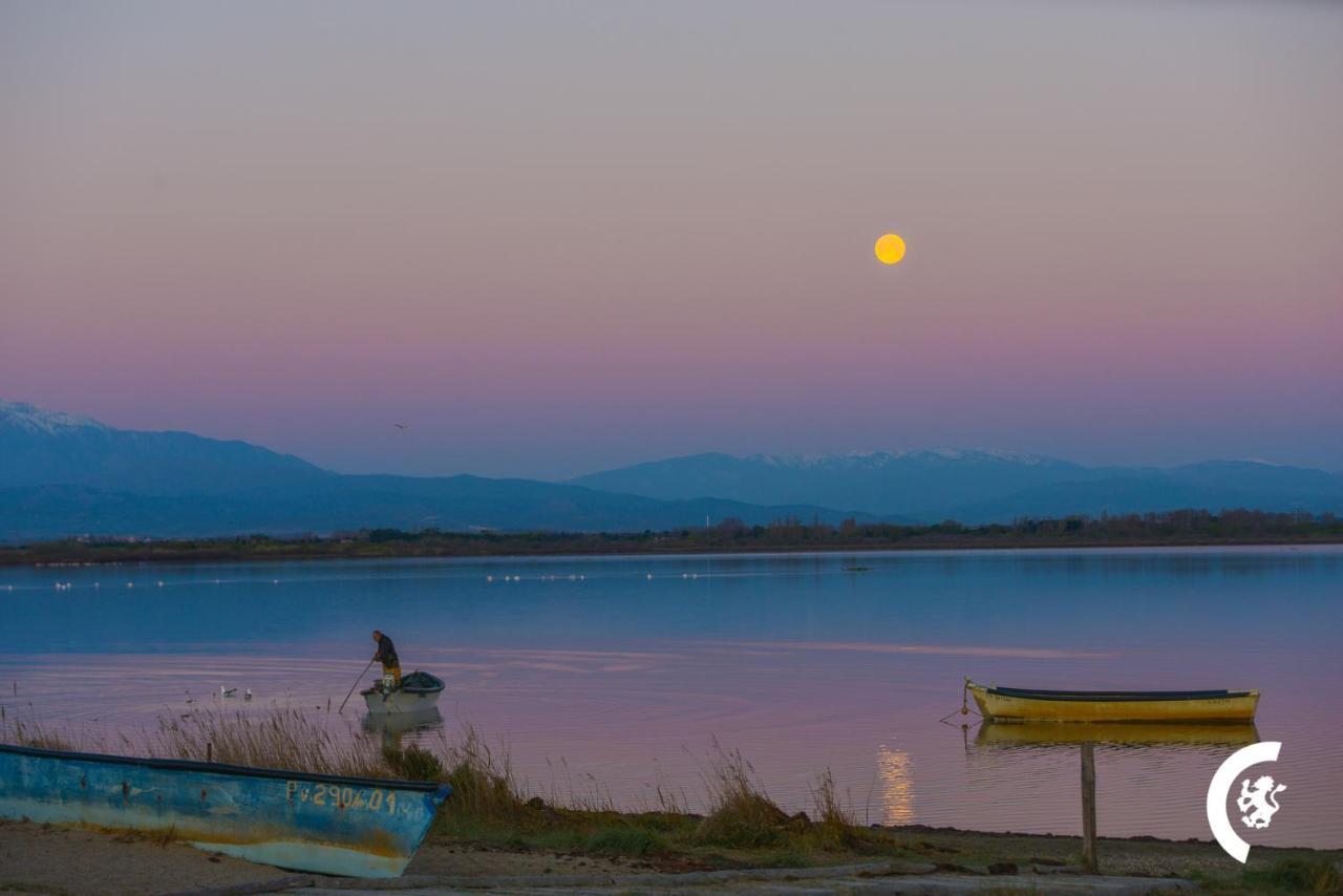 "Chill" Magnifique Vue Sur La Mer Et Le Port Au Coeur De La Ville En Premiere Ligne Canet-en-Roussillon Dış mekan fotoğraf